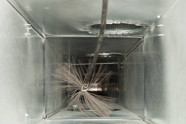 Best Air Duct Sanitizing Services  in Albany, LA