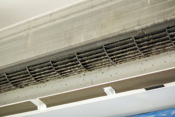 HVAC System Cleaning in Albany, LA