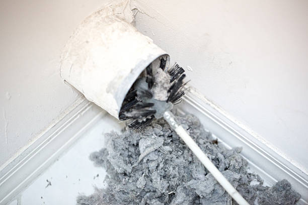 Best Residential Air Duct Cleaning  in Albany, LA